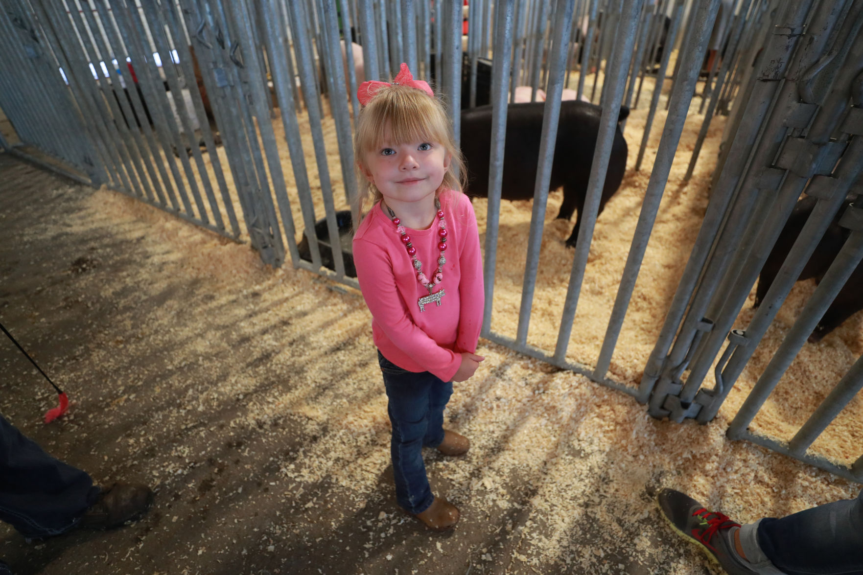071119_HallCoFair63_bjs.JPG